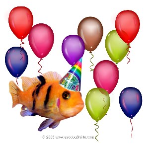 ../Images/birthday tropical fish.jpg